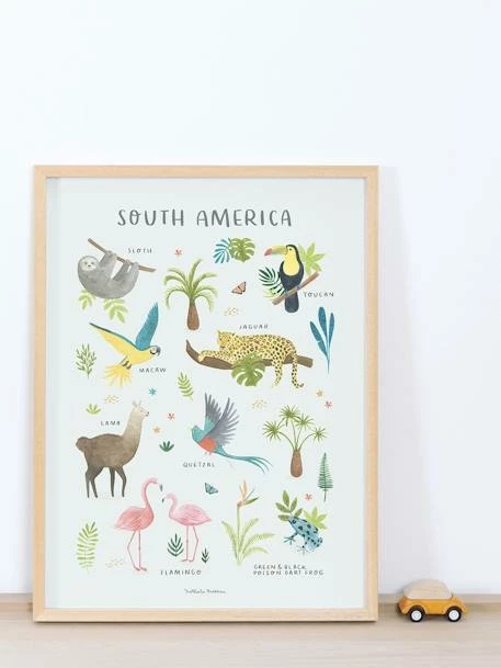 Affiche Animaux D'Amérique Du Sud Living Earth LILIPINSO Multicolore - Lilipinso – Image 2