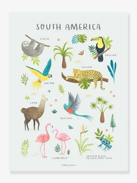 Affiche Animaux D'Amérique Du Sud Living Earth LILIPINSO Multicolore - Lilipinso