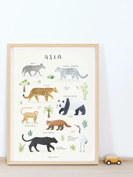 Affiche Animaux D'Asie Living Earth LILIPINSO Gris - Lilipinso – Image 2