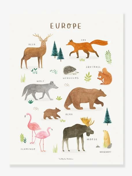 Affiche Animaux D'Europe Living Earth LILIPINSO Marron - Lilipinso