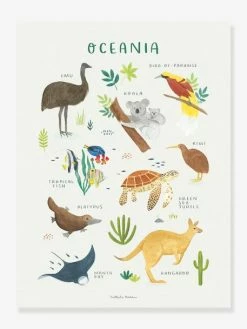 Affiche Animaux D'Océanie Living Earth LILIPINSO Marron - Lilipinso
