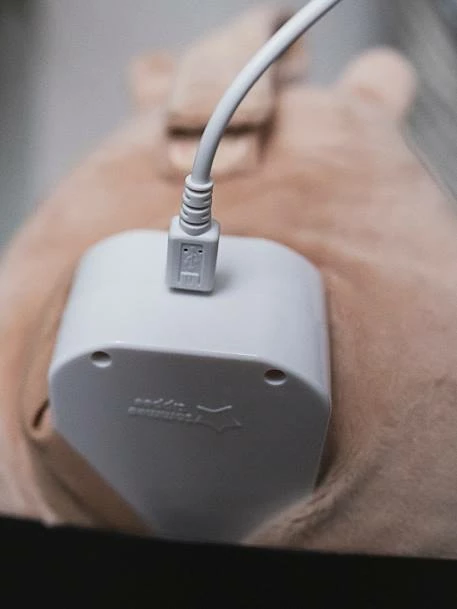 Peluche Aide Au Sommeil Rechargeable TOMMEE TIPPEE Bennie L’ourson Beige - Tommee Tippee – Image 5